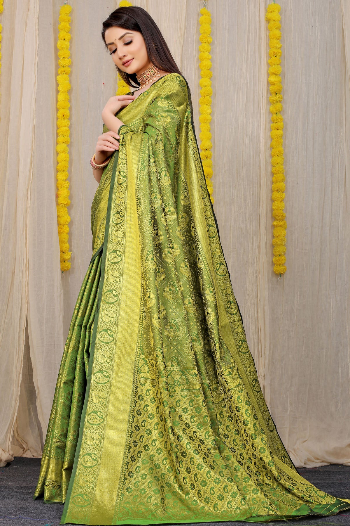 Vani Jacquard Pattern Kanchipuram Pure Silk Saree